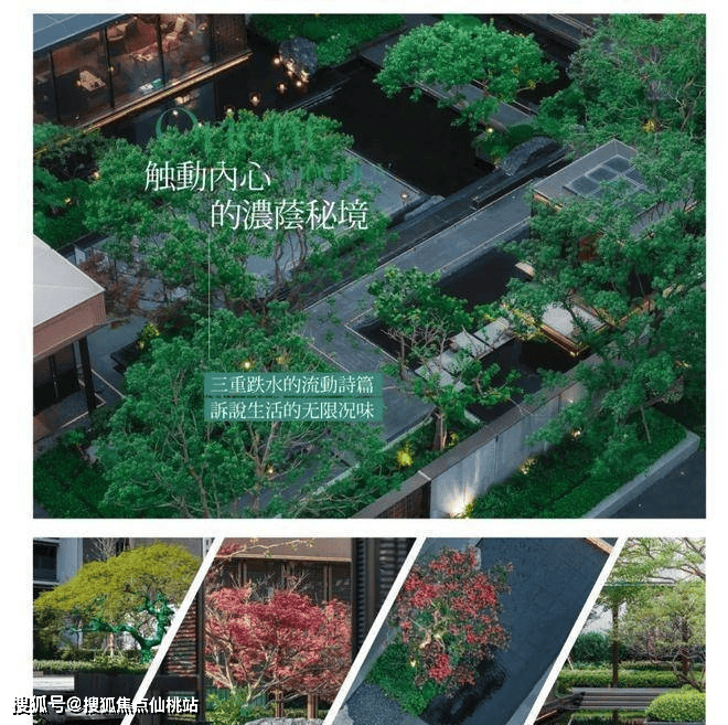 号线km南大科创芯黄金资产」开元棋牌「保利海上臻悦｜15(图16)