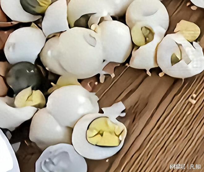 多猛料工作单位被扒一家都不是善茬开元棋牌捏碎鸡蛋后续：知情人曝更(图8)